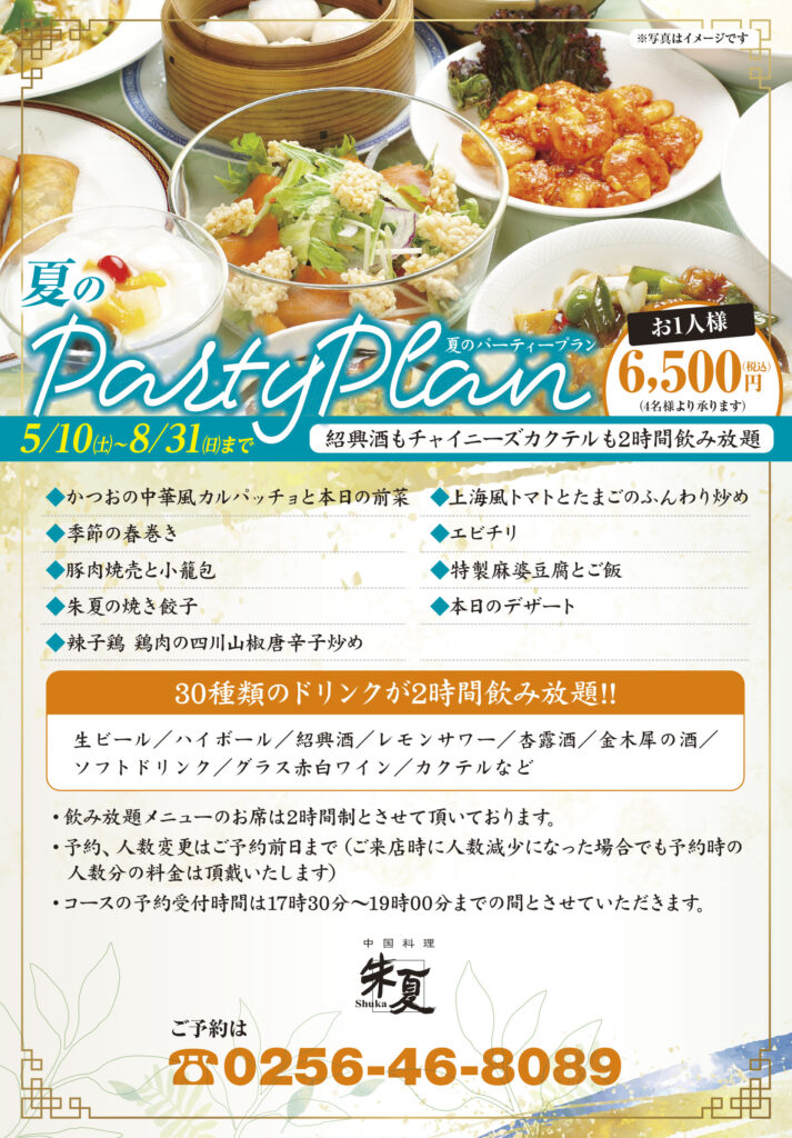 20250423朱夏夏のパーティープランチラシA4